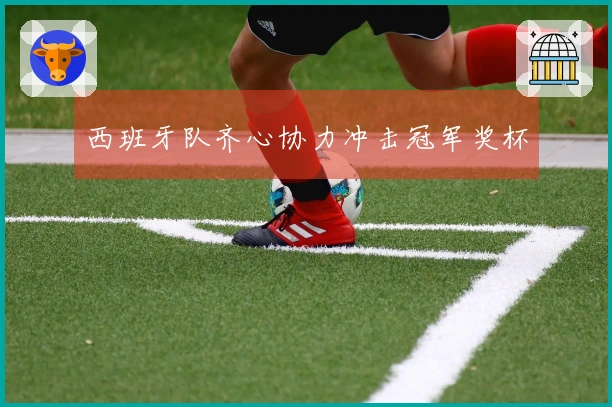 西班牙队齐心协力冲击冠军奖杯
